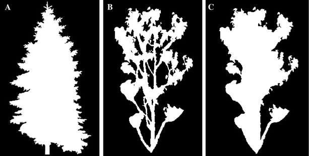 Fig. 4