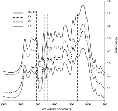 Fig. 6