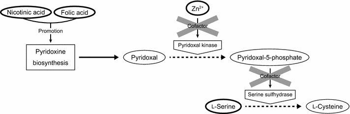 Fig. 10