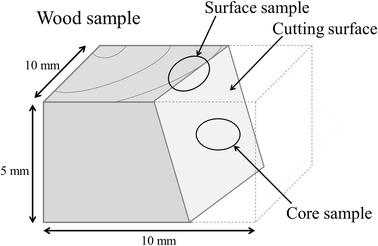 Fig. 1