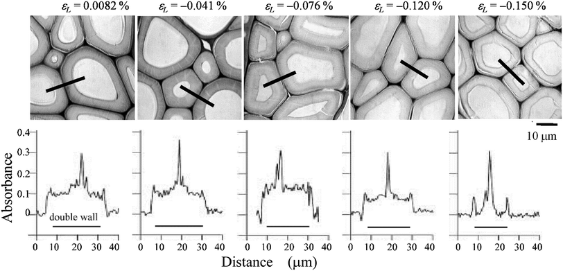 Fig. 10