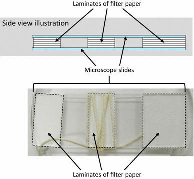 Fig. 1