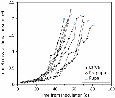 Fig. 7