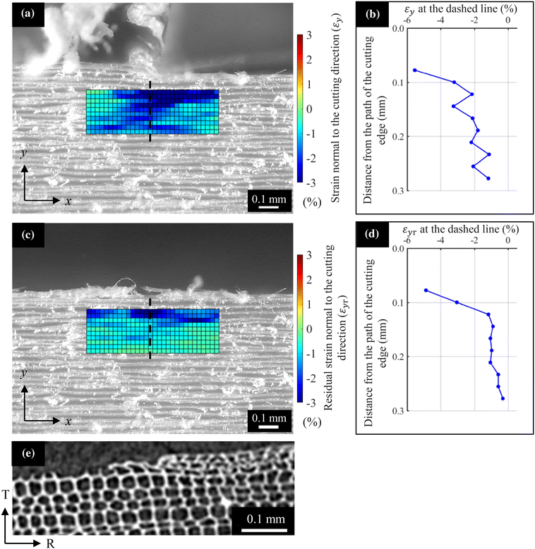 Fig. 10