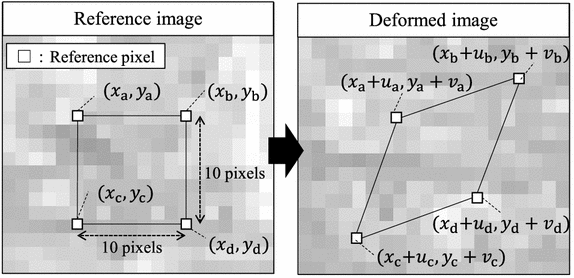 Fig. 3