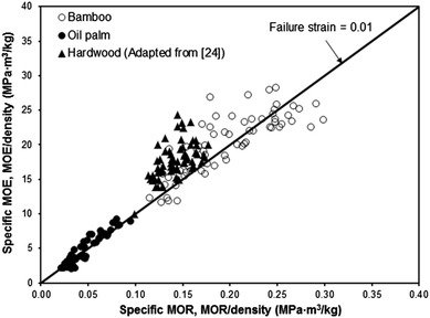 Figure 10 Comparison Of The Anatomical Characteristics And Physical And Mechanical Properties Of Oil Palm And Bamboo Trunks Springerlink Figure 10 Comparison Of The Anatomical Characteristics And Physical And Mechanical Properties Of Oil Palm And Bamboo Trunks Springerlink