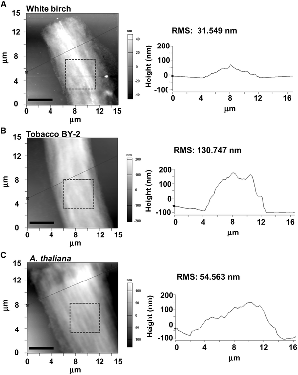 Fig. 7