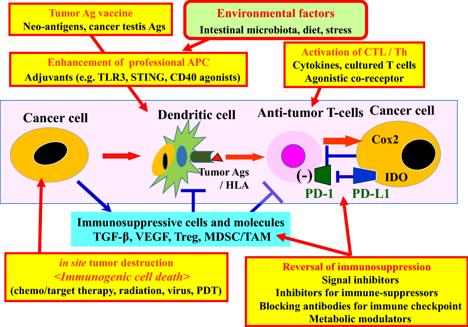 Figure 20   Immune resistant mechanisms in cancer immunotherapy ...
