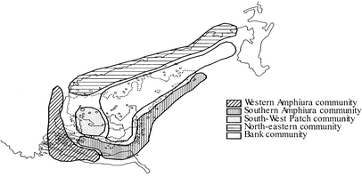 Fig. 5.