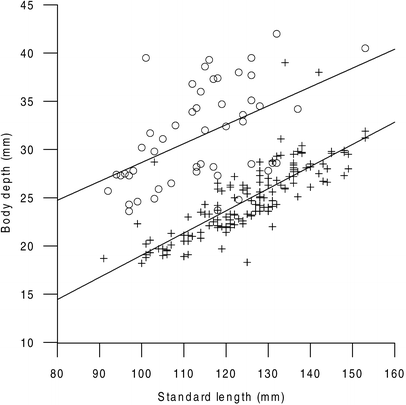 Fig.7.