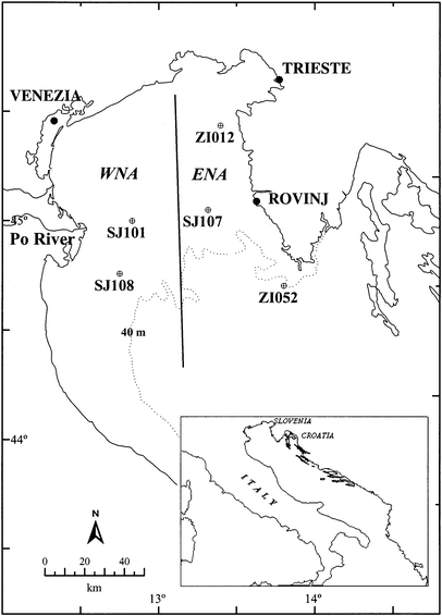 Fig. 1.