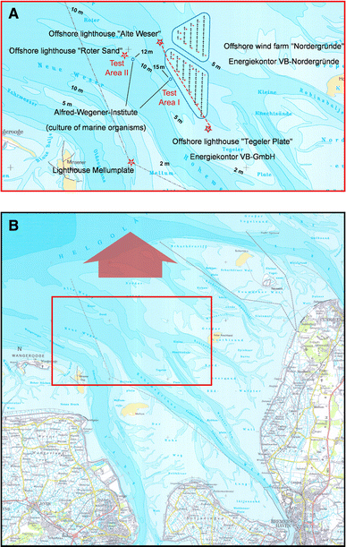 Fig. 1