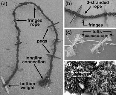 Fig. 3