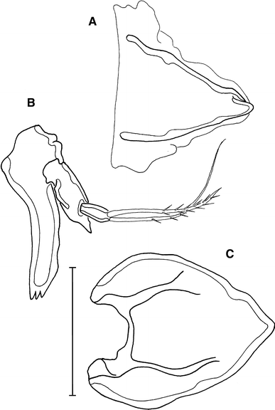 Fig. 11