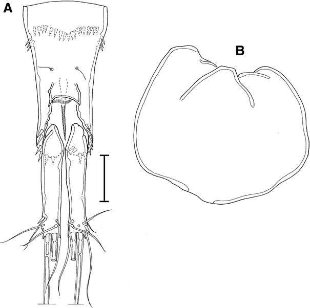 Fig. 17