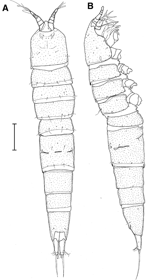 Fig. 24