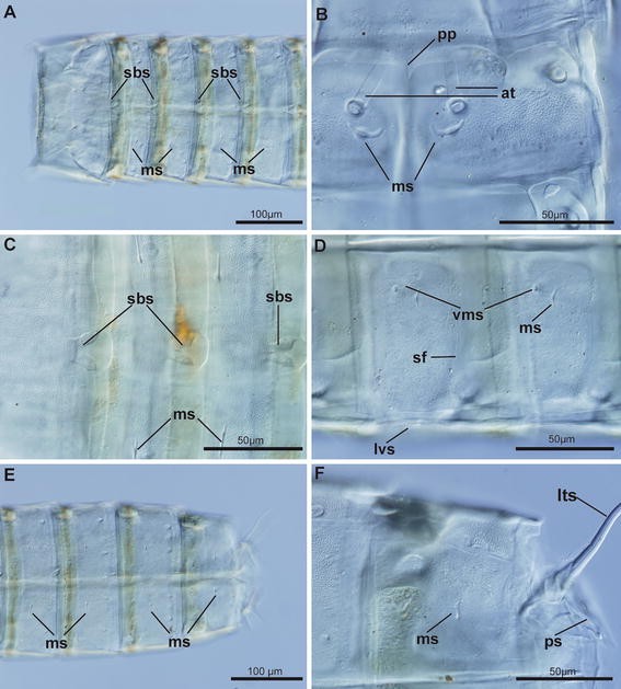 Fig. 8