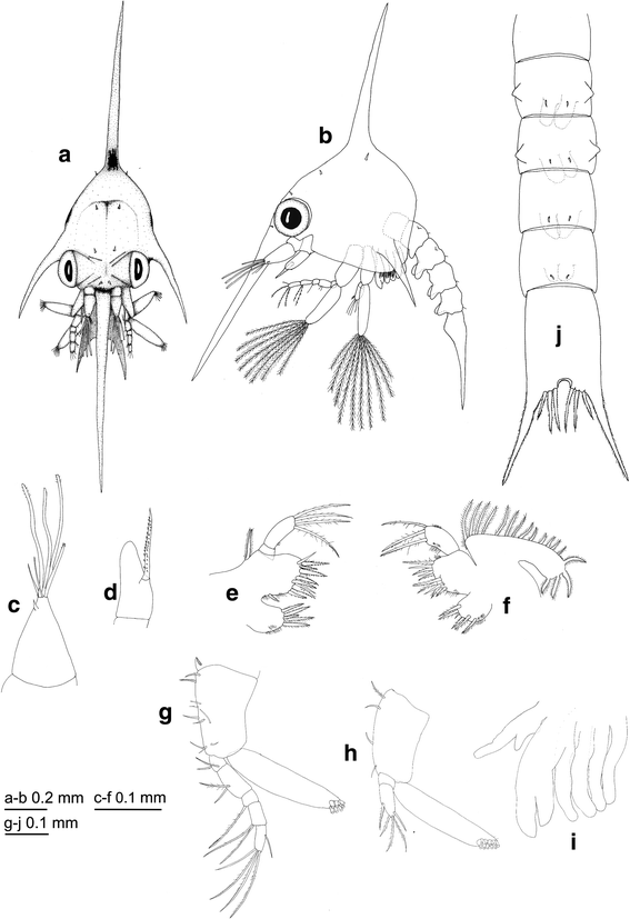 Fig. 4