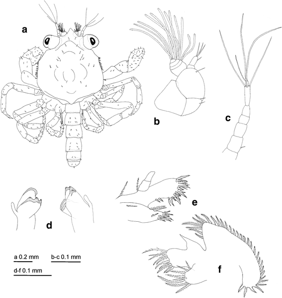 Fig. 6