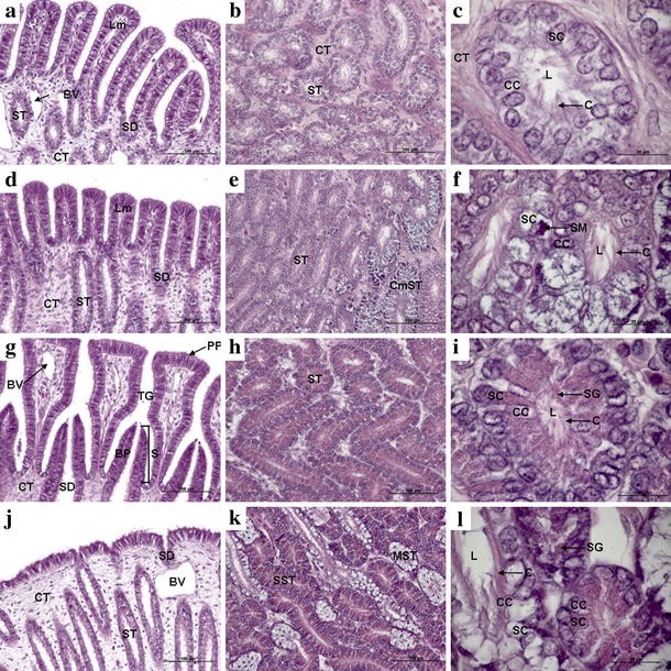 Fig. 5