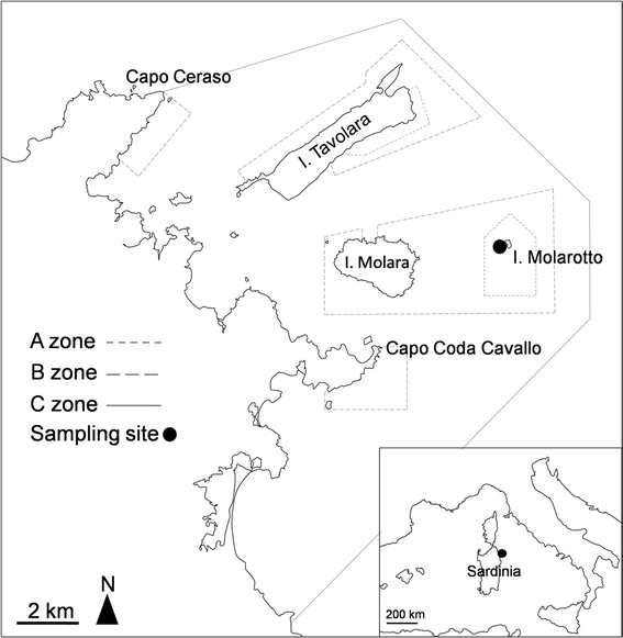 Fig. 1