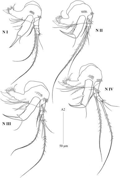 Fig. 18