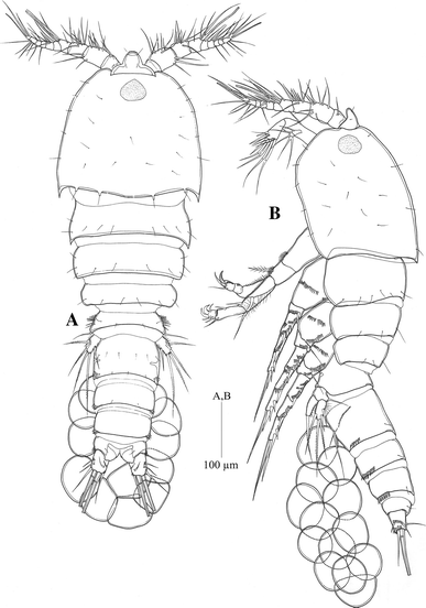 Fig. 1