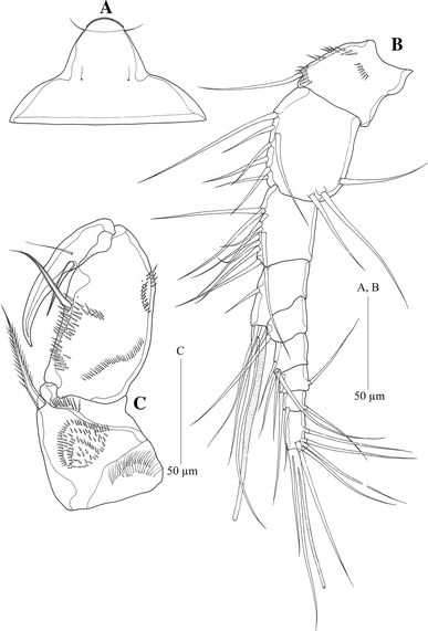 Fig. 3