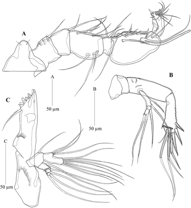 Fig. 9