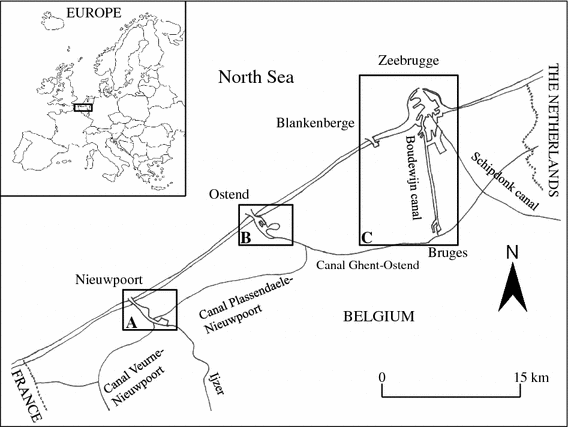 Fig. 1