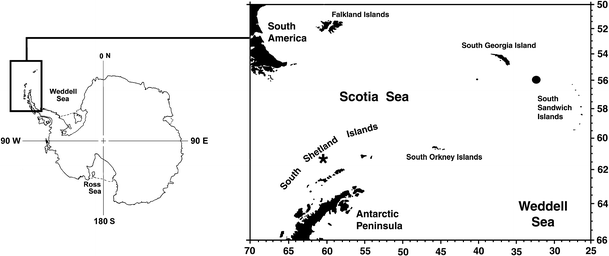 Fig. 1