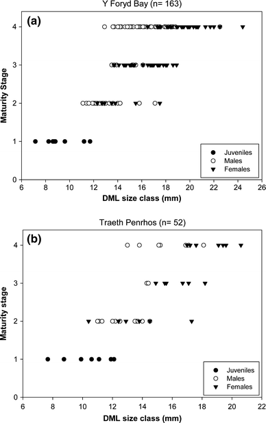 Fig. 4