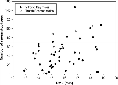 Fig. 7