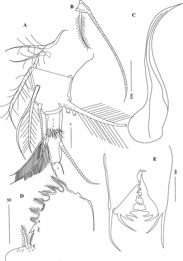 Fig. 13
