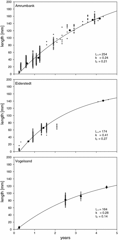 Fig. 5