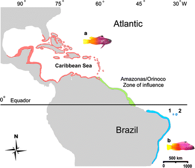 Fig. 1