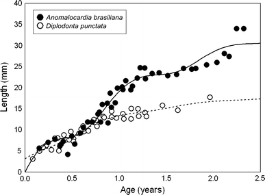 Fig. 4