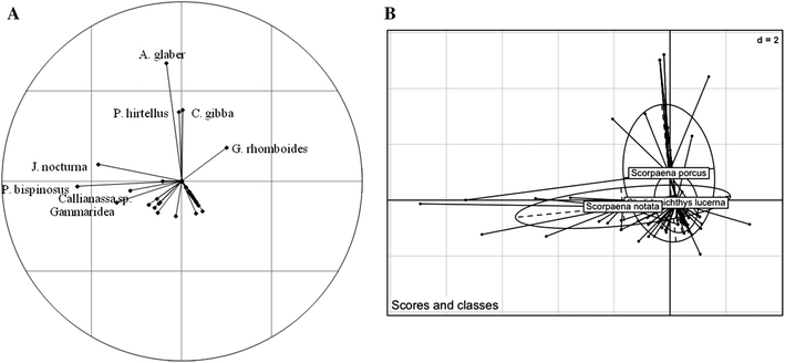 Fig. 3