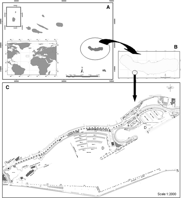 Fig. 1