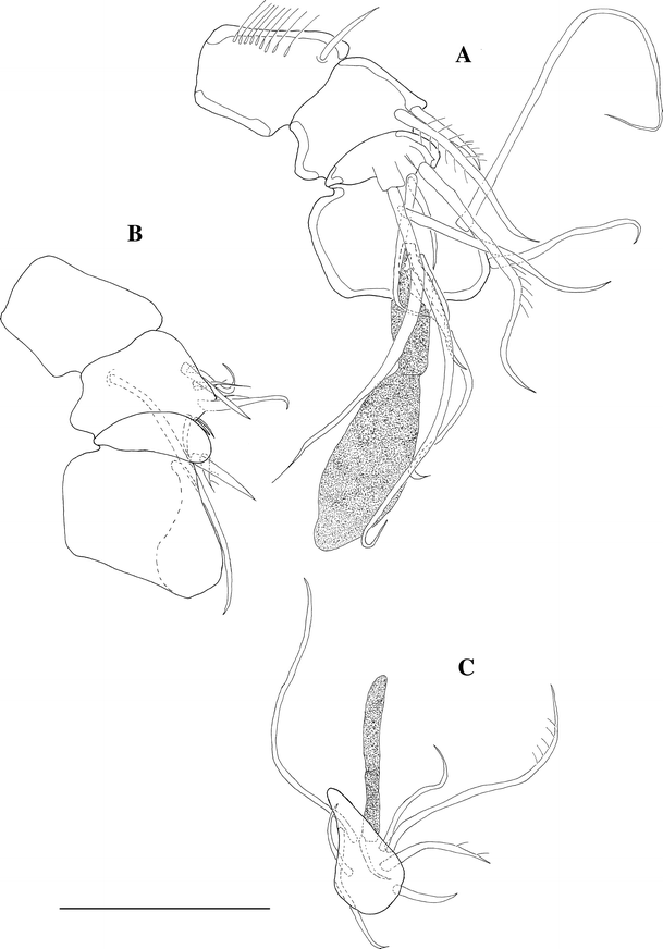 Fig. 10