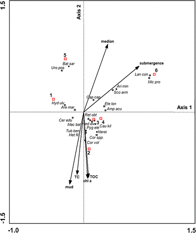 Fig. 5