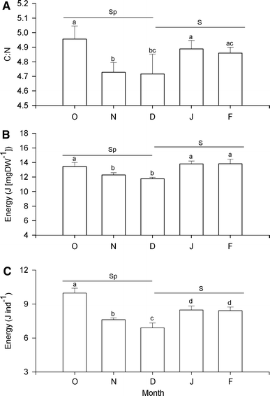 Fig. 6