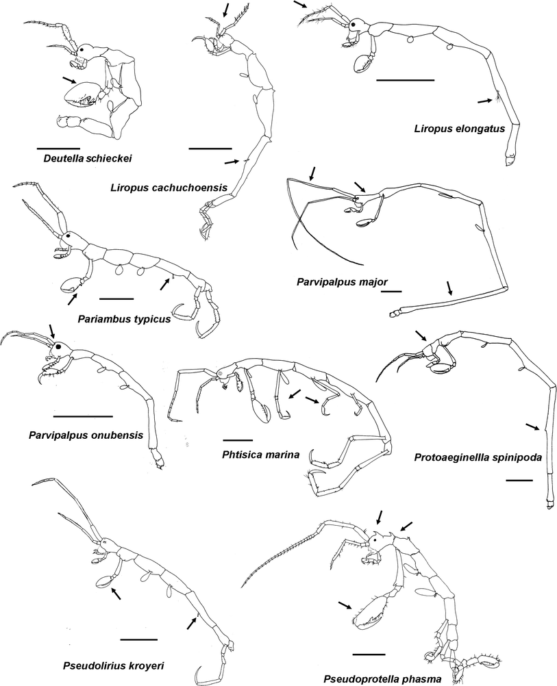 Fig. 2