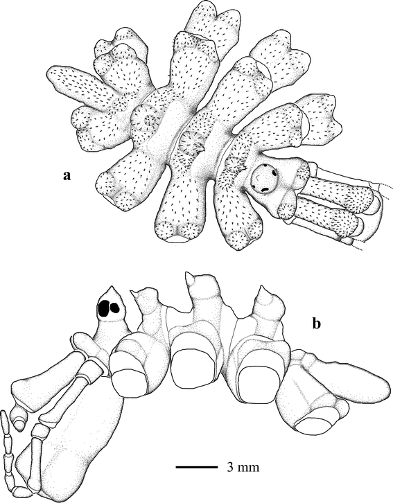 Fig. 2