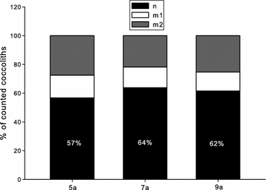 Fig. 4