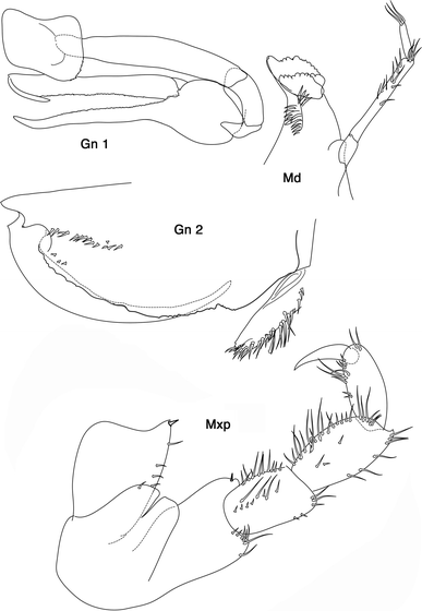 Fig. 6