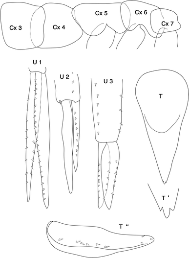 Fig. 7