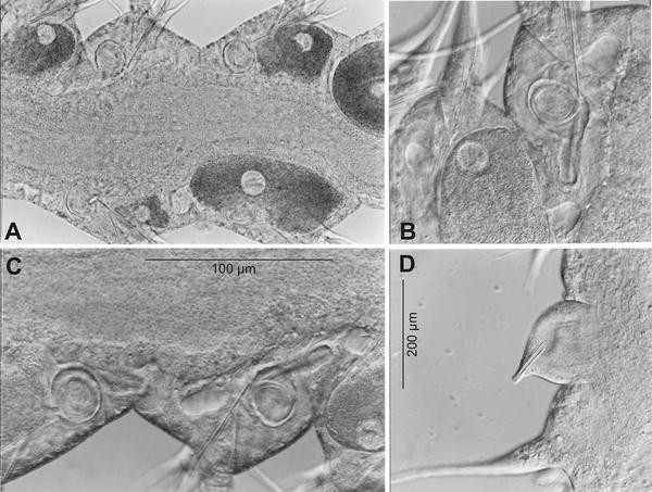 Fig. 3