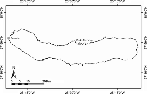 Fig. 1