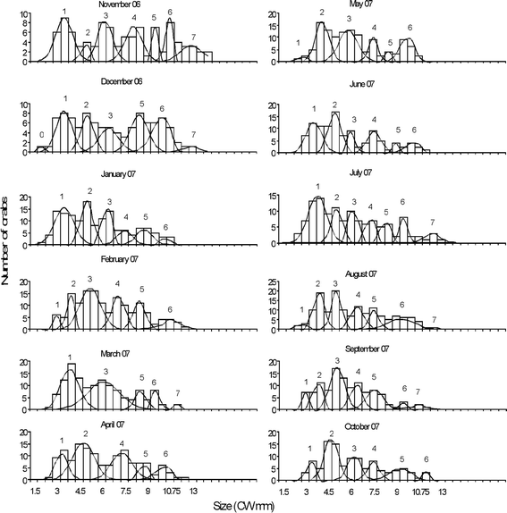 Fig. 4